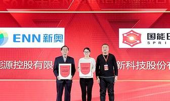 新奧今晚開一肖一特講解詞語，探索生肖與特意的奧秘，新奧生肖夜，揭秘生肖與特意的神秘關聯(lián)