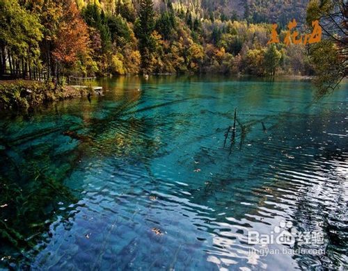 九寨溝風(fēng)景區(qū)景點(diǎn)詳細(xì)介紹，九寨溝風(fēng)景區(qū)景點(diǎn)全面詳解