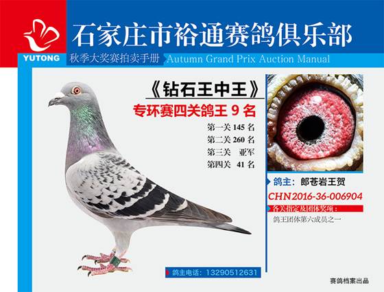 王中王一期一肖特中獎，揭秘彩票背后的秘密與策略，揭秘彩票背后的秘密與策略，王中王一期一肖特中獎解析