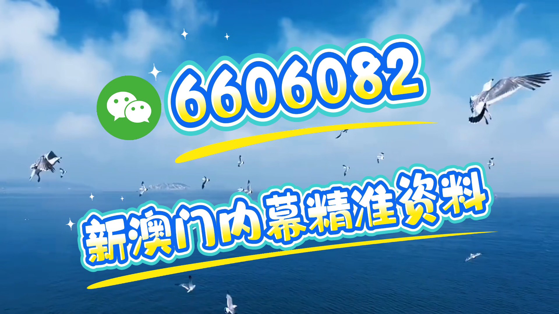 新澳門期期準(zhǔn)，探索澳門的魅力與未來發(fā)展，澳門魅力探秘與未來發(fā)展展望