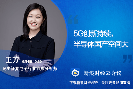 新浪財(cái)經(jīng)下的600844股票深度解析，新浪財(cái)經(jīng)獨(dú)家解析，600844股票深度報(bào)告