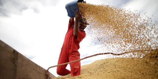 軍事參考消息網(wǎng)，全球軍事動態(tài)的權(quán)威來源，全球軍事動態(tài)權(quán)威來源——軍事參考消息網(wǎng)