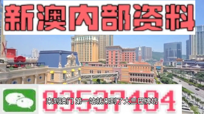 新澳新澳門正版資料，探索與解析，新澳新澳門正版資料深度解析與探索