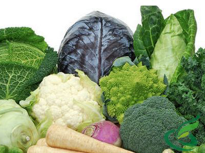 五種可止瀉的蔬菜，天然健康的止瀉良方，五種天然蔬菜止瀉良方，健康有效的止瀉選擇