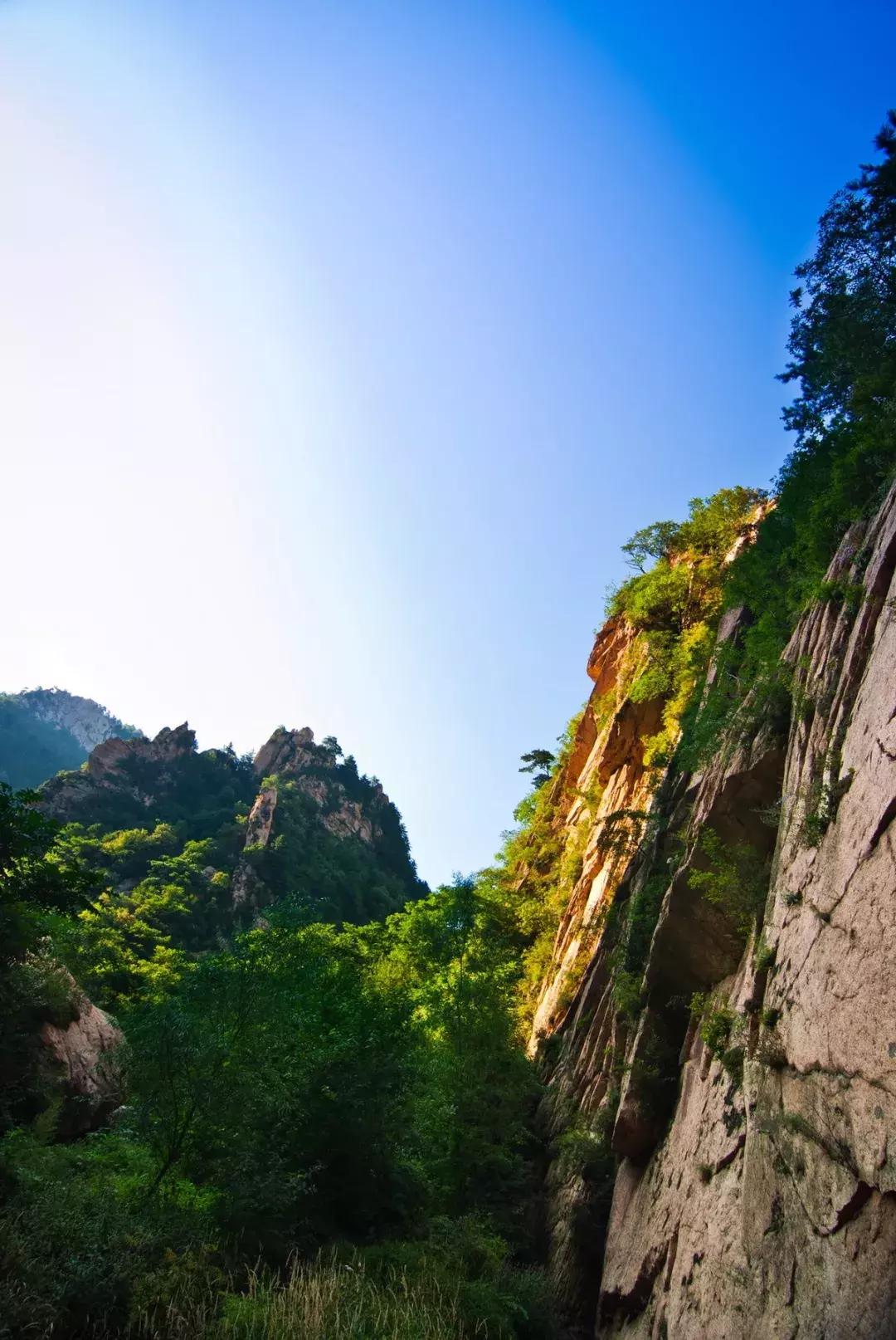 劉伯溫一肖中特130期，揭秘神秘預(yù)測(cè)背后的故事，劉伯溫一肖中特130期揭秘，神秘預(yù)測(cè)背后的真相探秘