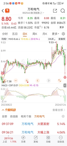 探索002543股吧的獨特魅力與價值，揭秘，002543股吧的獨特魅力與投資價值探討