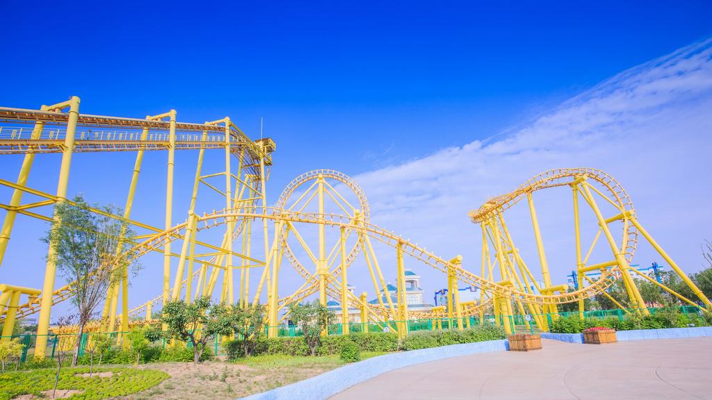 茂密森林中的王中王——探尋一肖的神秘魅力，森林霸主一肖的神秘魅力探索