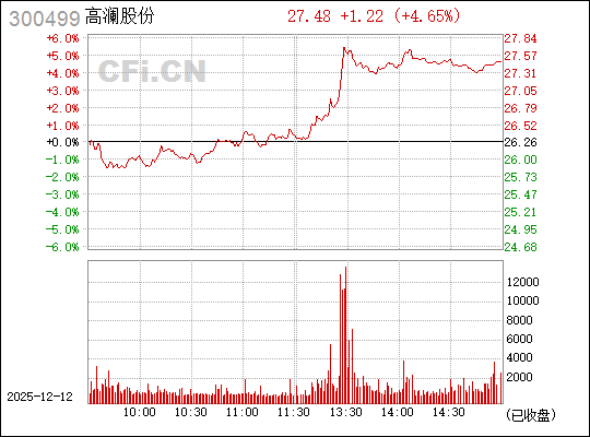 探索高瀾股份股吧，300499的潛力與價(jià)值，高瀾股份股吧潛力與價(jià)值深度探索