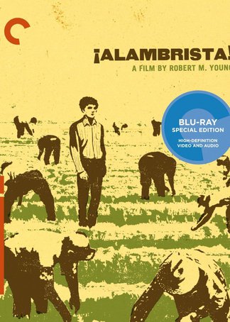 今天正版四不像，深度解析其特點(diǎn)與魅力，正版四不像深度解析，特點(diǎn)與魅力探究