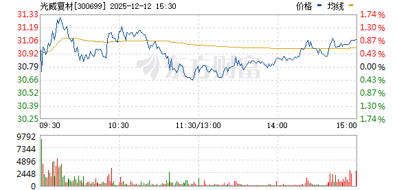 光威復(fù)材股票，深度解析與前景展望，光威復(fù)材股票深度解析及前景展望