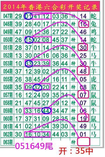 澳門六開彩全年開獎結(jié)果及解析，澳門六開彩全年開獎結(jié)果解析與回顧