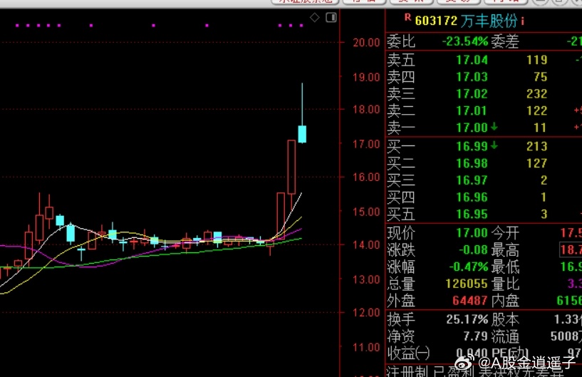 萬(wàn)豐化工股票，投資潛力與市場(chǎng)前景分析，萬(wàn)豐化工股票，投資潛力與前景深度分析