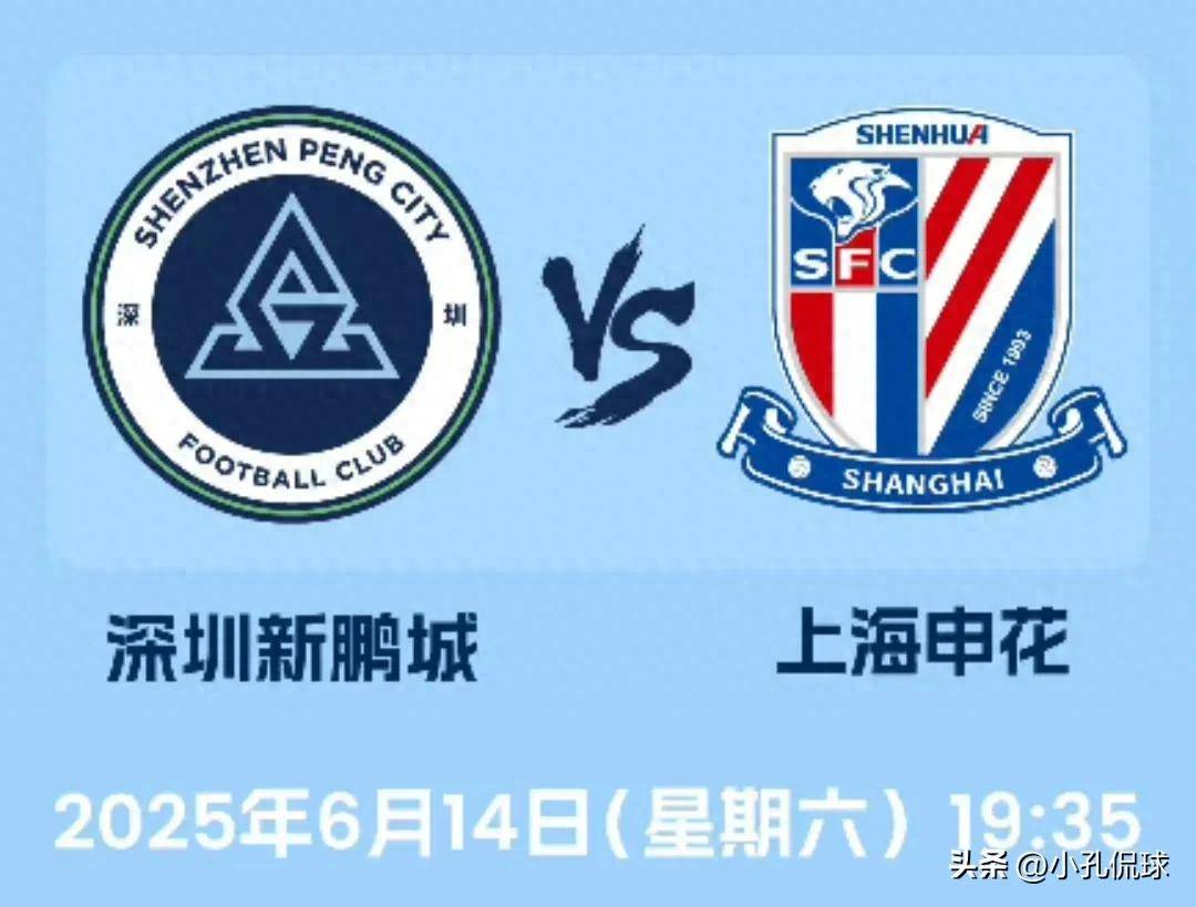 揭秘王中王，一特一碼一肖一中背后的秘密，揭秘王中王背后的秘密，一特一碼一肖一中的神秘面紗