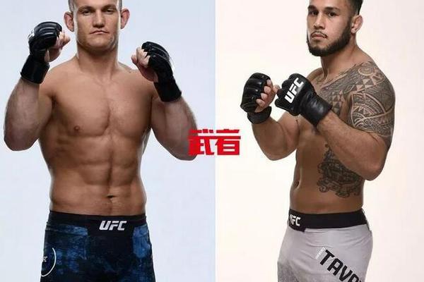 澳門六開獎(jiǎng)結(jié)果記錄圖，探索彩票背后的秘密，澳門六開獎(jiǎng)結(jié)果記錄圖揭秘彩票背后的秘密