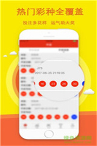 王中王六肖必中一期，揭秘精準預測的秘密，揭秘王中王六肖精準預測一期，揭秘預測成功的秘密