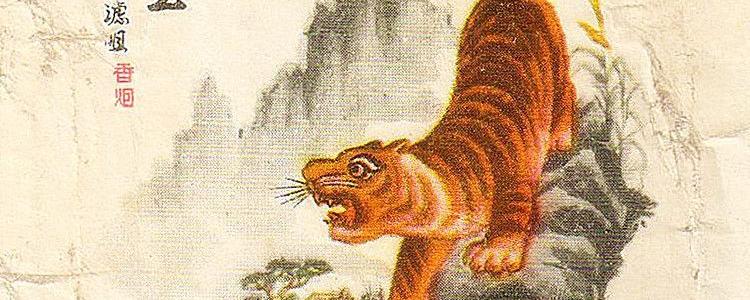 猛虎下山王中王，一生肖的獨特象征與奧秘，猛虎下山，生肖的獨特象征與奧秘