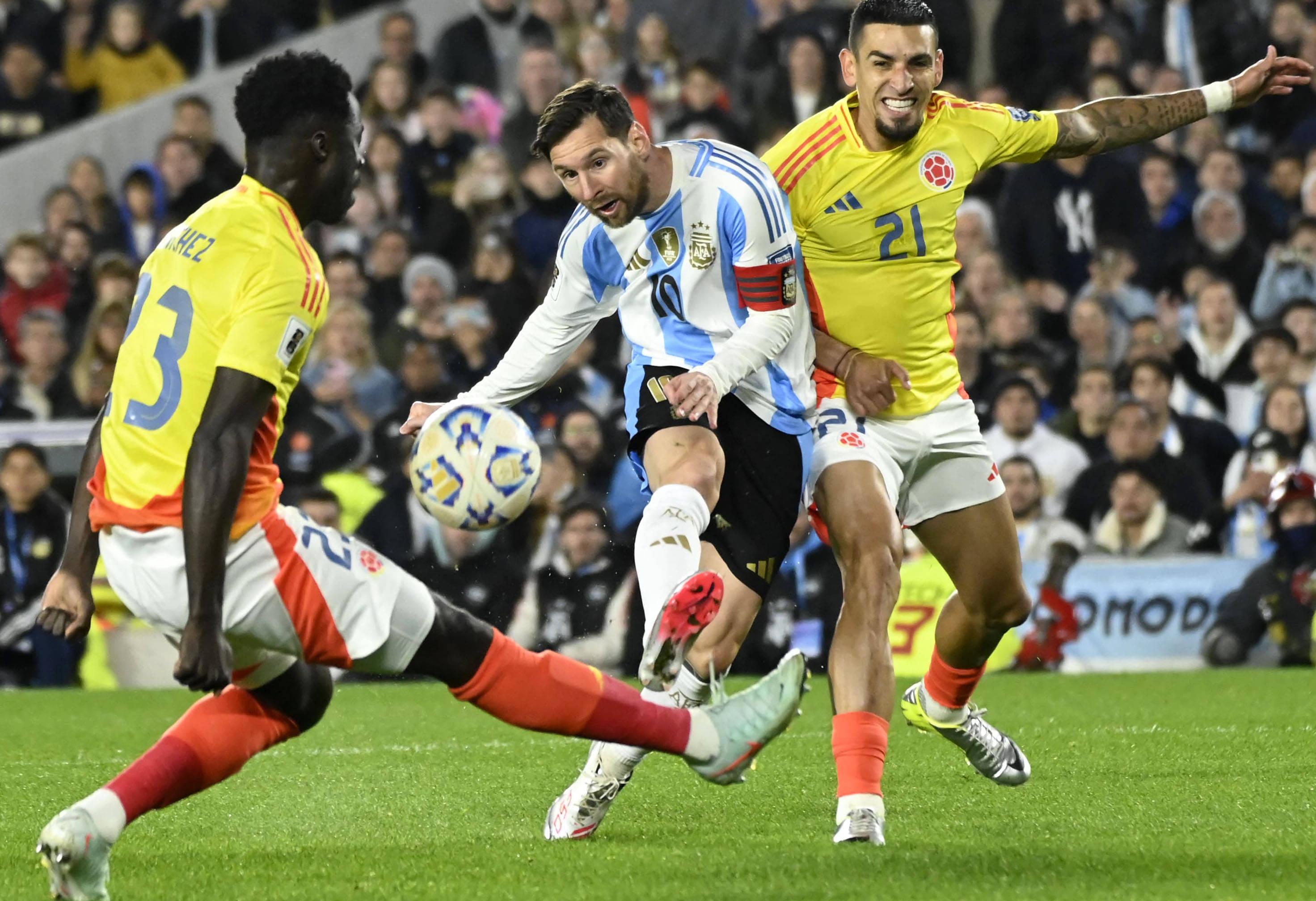 王中王一肖一特一，探尋獨(dú)特魅力與卓越成就，探尋王中王一肖的獨(dú)特魅力與卓越成就