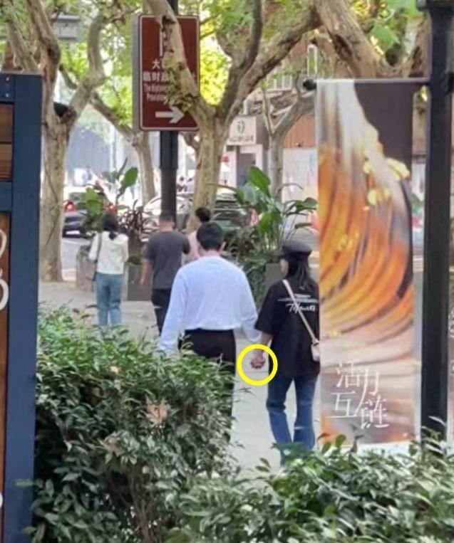 鮑蕾個人資料圖片，深度解析與探索，鮑蕾個人資料圖片，深度探究與揭秘