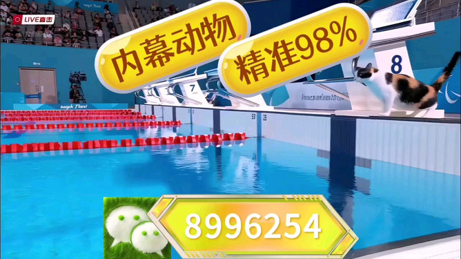 澳門王中王，揭秘期期中秘密，探尋博彩世界的新機遇，澳門王中王，揭秘博彩世界的新機遇與期期中秘密